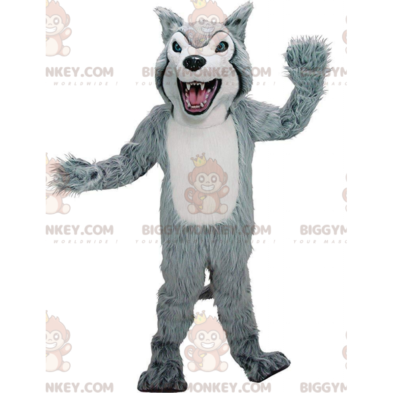 Kostým maskota BIGGYMONKEY™ v kostýmu šedého a bílého huskyho