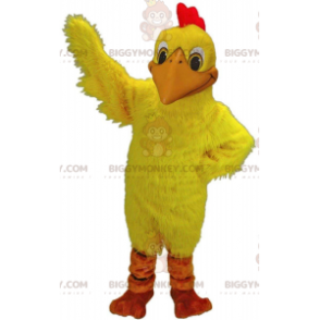 Στολή μασκότ BIGGYMONKEY™ κίτρινο κοτόπουλο, στολή κότας