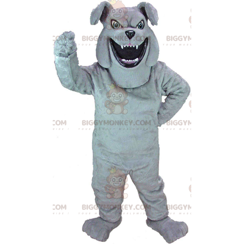 Hårdt udseende grå bulldog BIGGYMONKEY™ maskotkostume, fræk