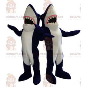 2 tiburones gigantes azules y blancos mascota de BIGGYMONKEY™ -