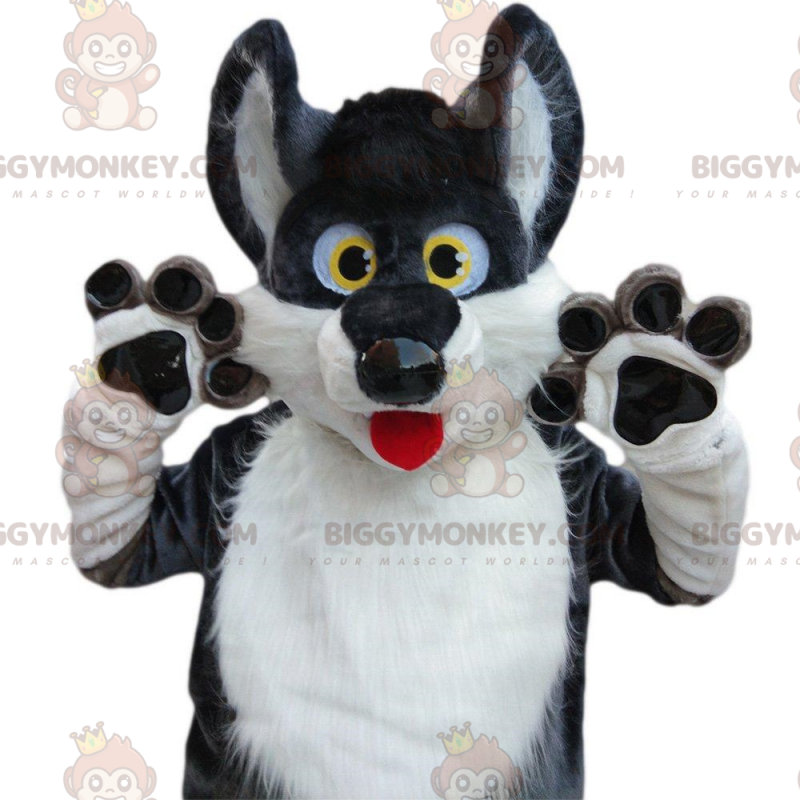 Traje de mascote BIGGYMONKEY™ de husky cinza e branco, fantasia