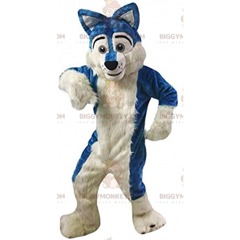 BIGGYMONKEY™ maskot kostume blå og hvid hund, plys husky