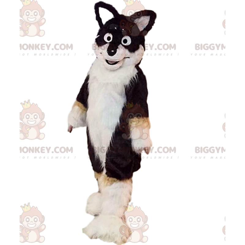 BIGGYMONKEY™ tricolor husky hundmaskotdräkt, lurvig hunddräkt -