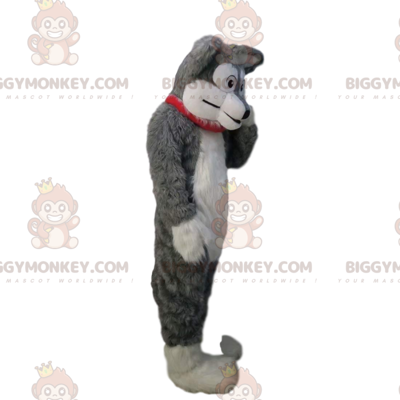 Traje de mascote BIGGYMONKEY™ de cachorro macio e peludo cinza