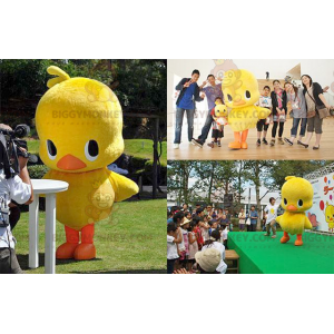 Fat Yellow and Orange Duck Chick BIGGYMONKEY™ Mascot Costume –