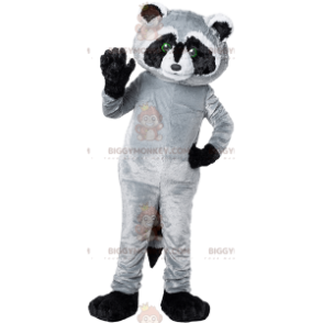 Black and Gray Raccoon BIGGYMONKEY™ Mascot Costume. raccoon