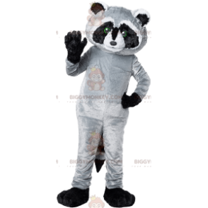 Costume de mascotte BIGGYMONKEY™ de raton-laveur noir et gris.