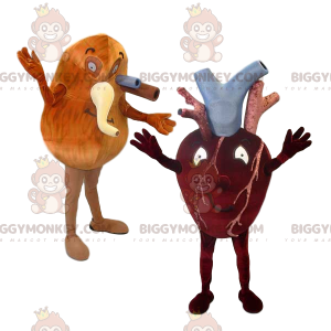 BIGGYMONKEY™ Hjerte og lunge og deres arterier Mascot Costume