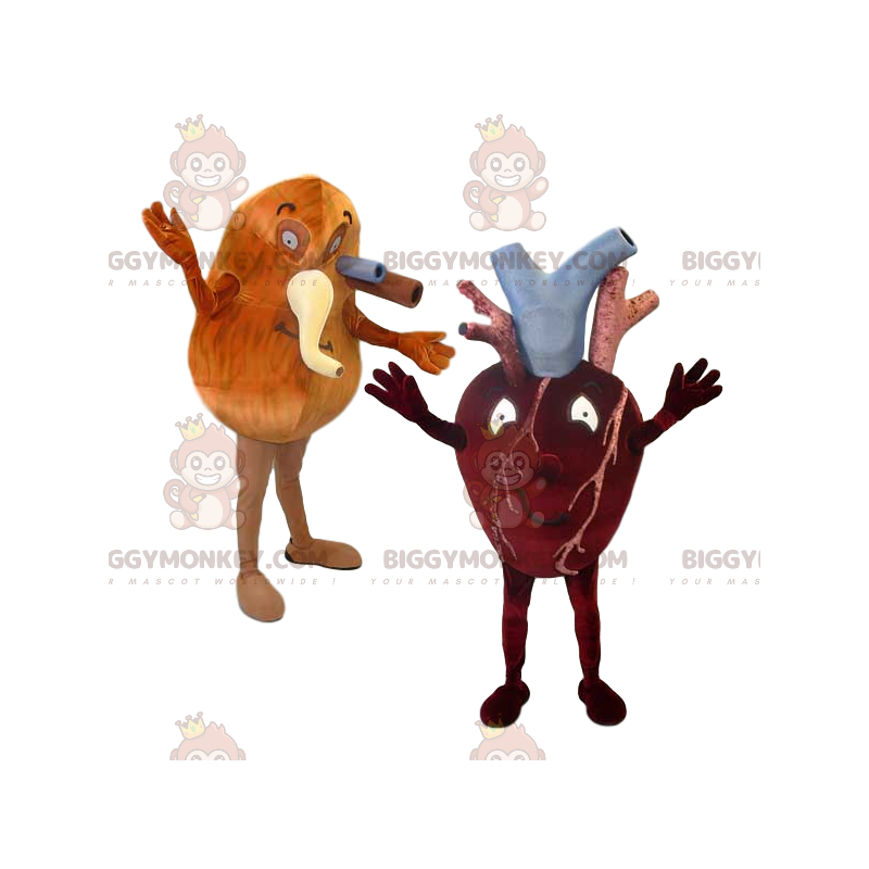 BIGGYMONKEY™ Coração e Pulmão e suas Artérias Mascote Dupla de