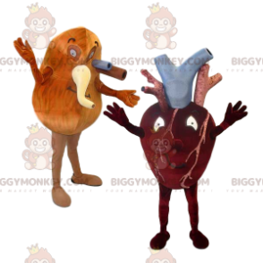 BIGGYMONKEY™ Heart and Lung and Their Arteries Mascot Costume