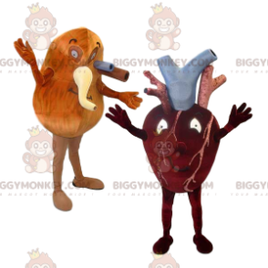 BIGGYMONKEY™ Hjerte og lunge og deres arterier Mascot Costume