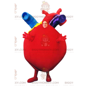 Costume de mascotte BIGGYMONKEY™ de cœur rouge géant avec ses