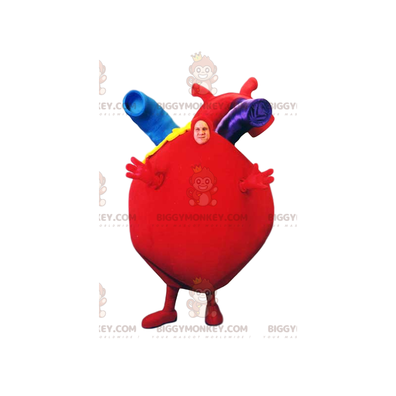 BIGGYMONKEY™ Costume da mascotte Cuore rosso gigante con