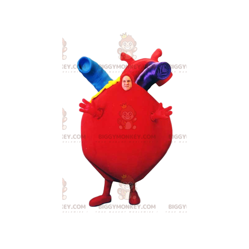 BIGGYMONKEY™ Mascottekostuum Reusachtig rood hart met prachtige