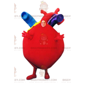 BIGGYMONKEY™ Costume da mascotte Cuore rosso gigante con