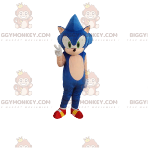 Sega-videopelin kuuluisan sinisen siilin Sonicin BIGGYMONKEY™