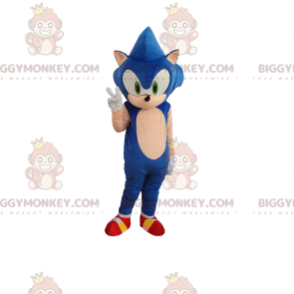 BIGGYMONKEY™ maskotdräkt av Sonic, den berömda blå igelkotten