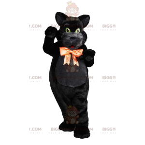 Macsotte mit grünäugiger schwarzer Katze und orangefarbener