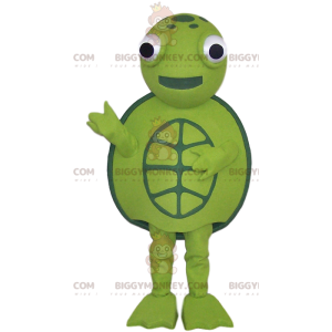 Vihreän kilpikonnan maskotti ja kaikki, - Biggymonkey.com