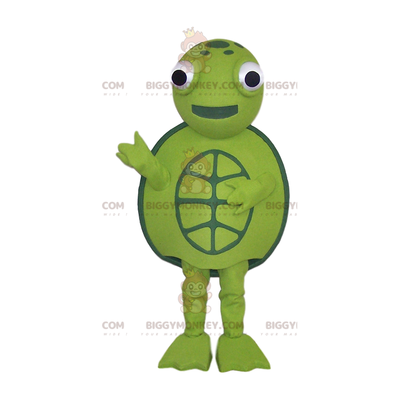 Groene schildpad mascotte en allround, - Biggymonkey.com