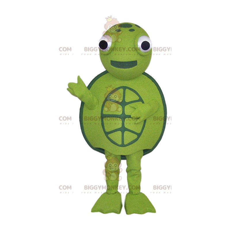 Grön sköldpadda maskot och allt runt, - BiggyMonkey maskot