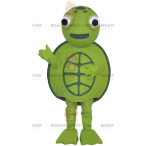 Groene schildpad mascotte en allround, - Biggymonkey.com