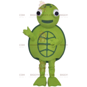 Mascote tartaruga verde e todo redondo, – Biggymonkey.com