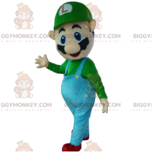 Luigi's BIGGYMONKEY™-mascottekostuum, Mario Bros-personage