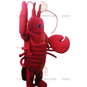 Costume de mascotte BIGGYMONKEY™ de homard avec des belles