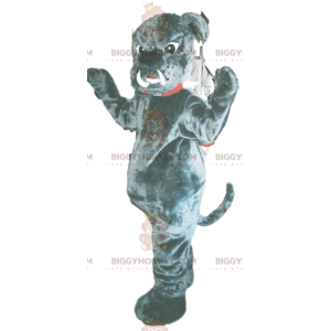 Costume de mascotte BIGGYMONKEY™ de bull-dog gris avec des