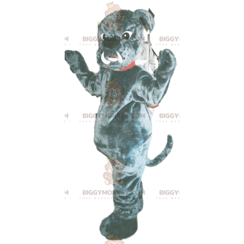 Costume de mascotte BIGGYMONKEY™ de bull-dog gris avec des