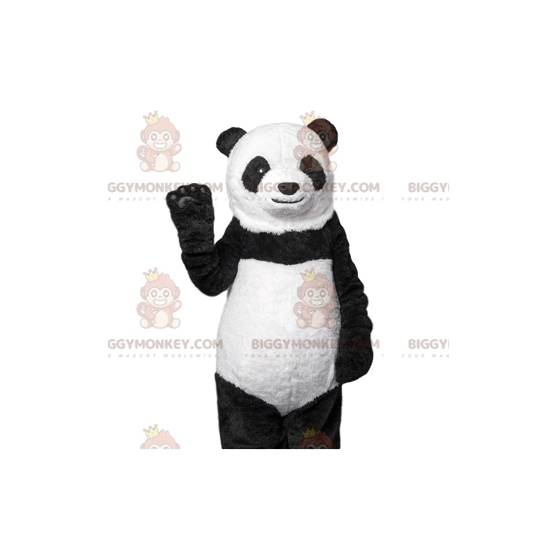 Friendly panda BIGGYMONKEY™ mascot costume. panda costume –