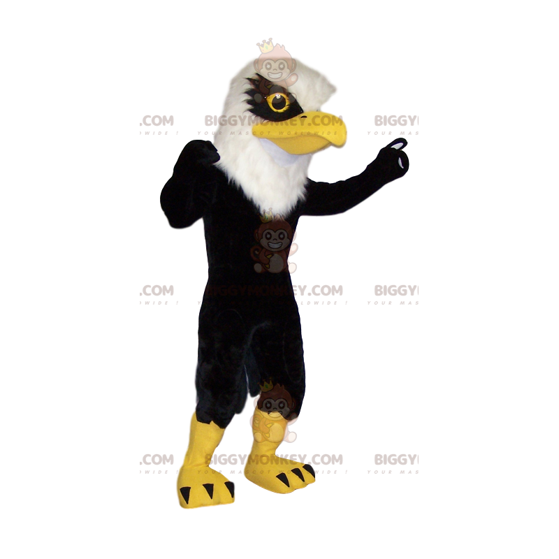 Black and white golden eagle mascot. Eagle Sizes L (175-180CM)