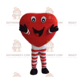 Costume de mascotte BIGGYMONKEY™ de Cœur rouge avec un grand