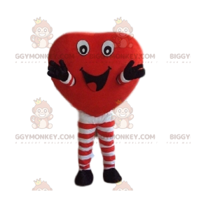 Στολή μασκότ BIGGYMONKEY™ Red Heart Big Smile - Biggymonkey.com