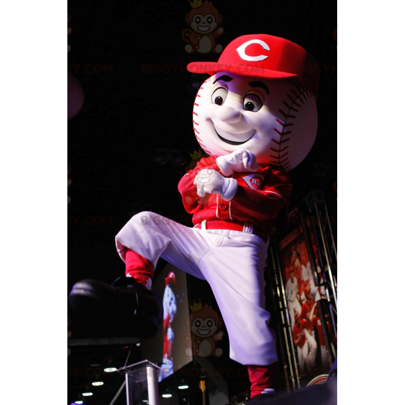 Baseball Cartoon Mascot Costume