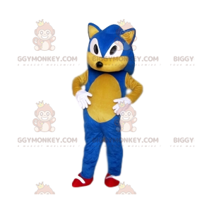 Kostým maskota Sonic the Hedgehog BIGGYMONKEY™ od společnosti