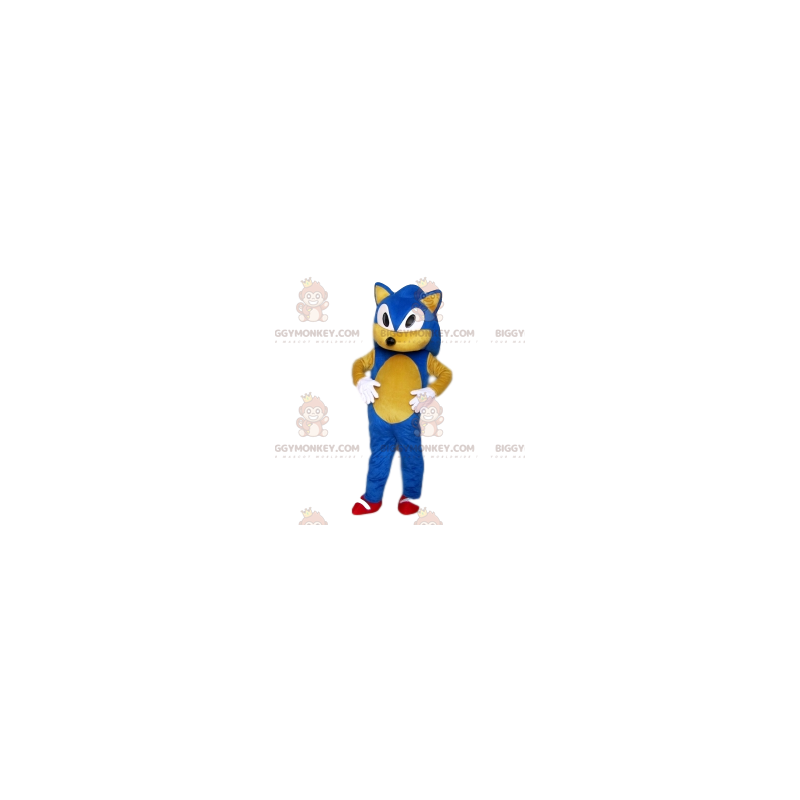 Kostým maskota Sonic the Hedgehog BIGGYMONKEY™ od společnosti