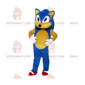 Kostým maskota Sonic the Hedgehog BIGGYMONKEY™ od společnosti