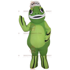 Grüner Frosch BIGGYMONKEY™ Maskottchen-Kostüm. Kostüm grüner