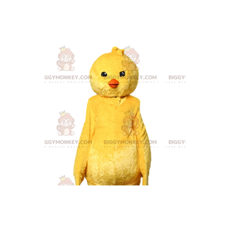 Keltainen Chick BIGGYMONKEY™ maskottiasu. keltainen poikasen