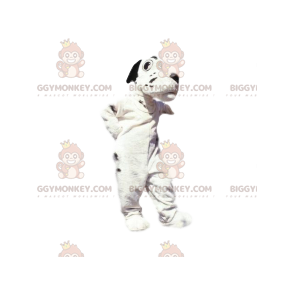 Costume mascotte BIGGYMONKEY™ cane bianco e nero. costume da