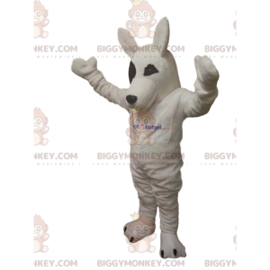 Costume de mascotte BIGGYMONKEY™ de loup blanc. Costume de loup