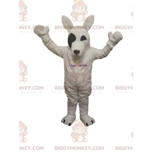 Costume da mascotte BIGGYMONKEY™ lupo bianco. costume da lupo