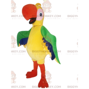 Disfraz de mascota de loro multicolor BIGGYMONKEY™. disfraz de