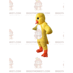 Keltainen Chick BIGGYMONKEY™ maskottiasu. poikasen puku -