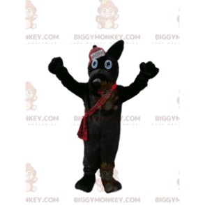 Musta koiran BIGGYMONKEY™ maskottiasu skotlantilaistyylisellä