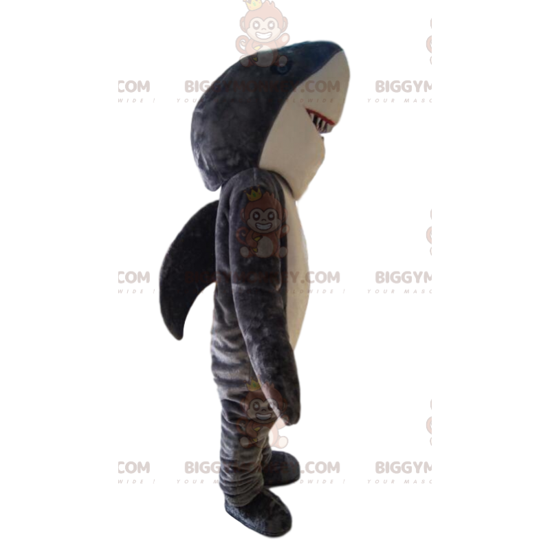 Grijze en witte haai BIGGYMONKEY™ mascottekostuum. haai kostuum