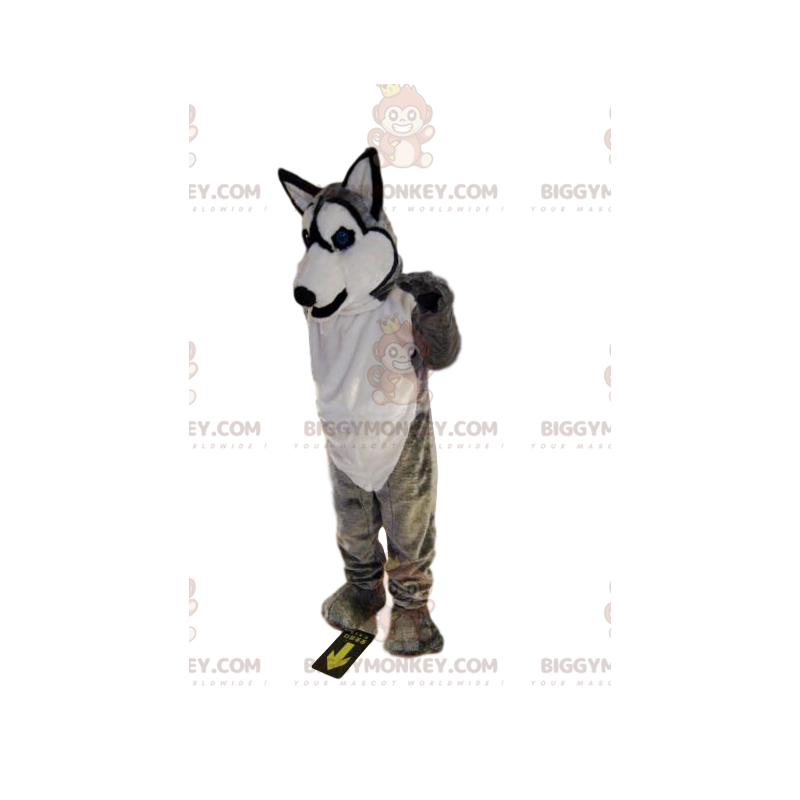 BIGGYMONKEY™ costume da mascotte di sorridente husky grigio e