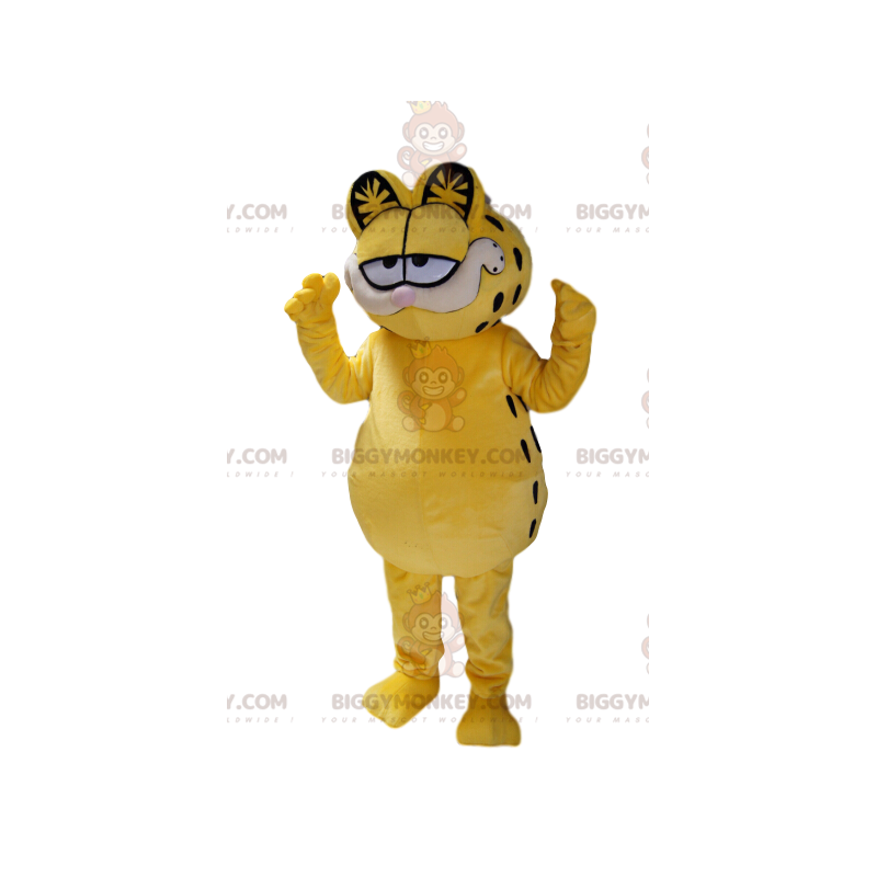 Mascot Garfield, o famoso gato laranja dos desenhos animados